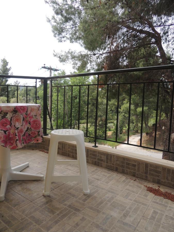Villa Platskos Vol 2 Kriopigi Extérieur photo